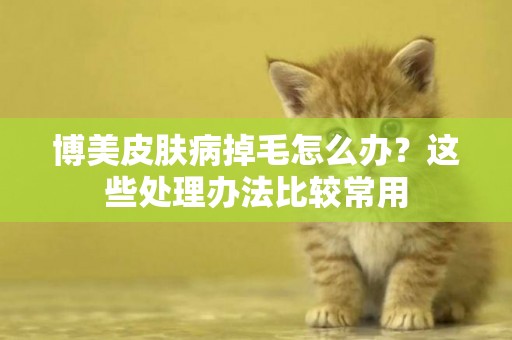 博美皮膚病掉毛怎么辦？這些處理辦法比較常用