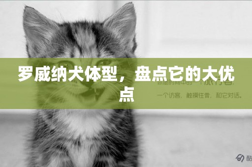 羅威納犬體型，盤點它的大優點