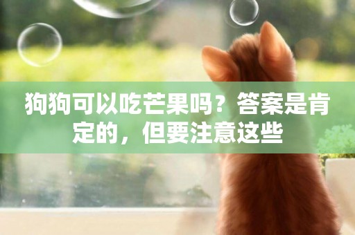 狗狗可以吃芒果嗎？答案是肯定的，但要注意這些