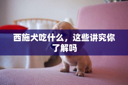 西施犬吃什么，這些講究你了解嗎