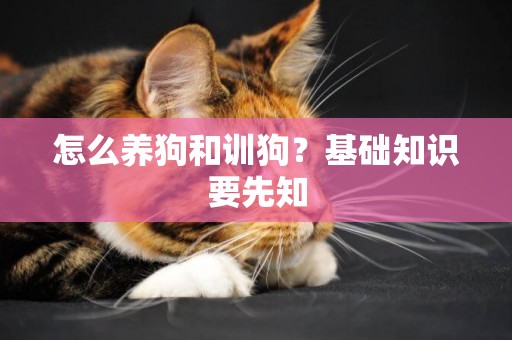 怎么養狗和訓狗？基礎知識要先知