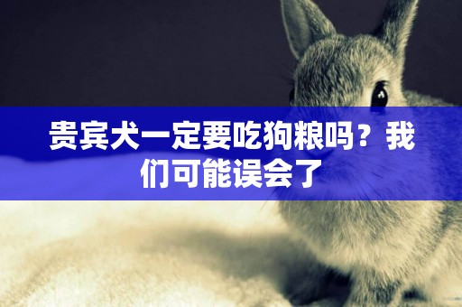 貴賓犬一定要吃狗糧嗎？我們可能誤會了