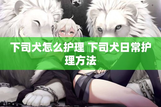 下司犬怎么護理 下司犬日常護理方法
