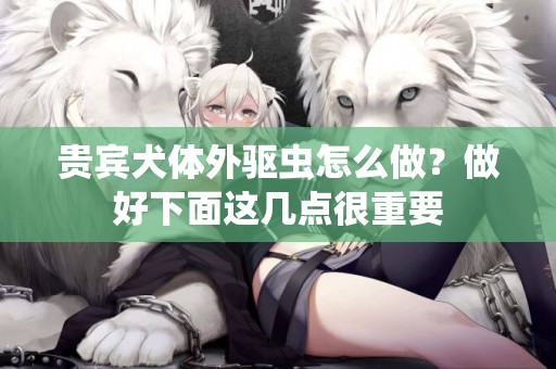 貴賓犬體外驅蟲怎么做？做好下面這幾點很重要