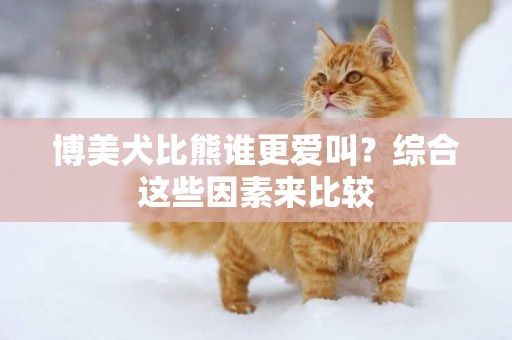 博美犬比熊誰更愛叫？綜合這些因素來比較
