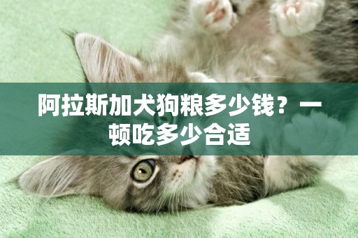 阿拉斯加犬狗糧多少錢？一頓吃多少合適