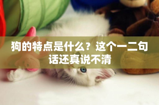 狗的特點是什么？這個一二句話還真說不清