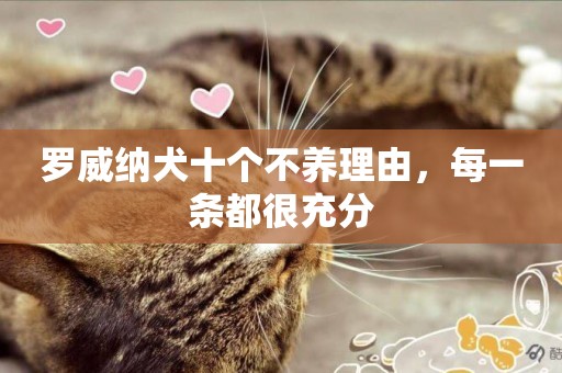 羅威納犬十個不養理由，每一條都很充分
