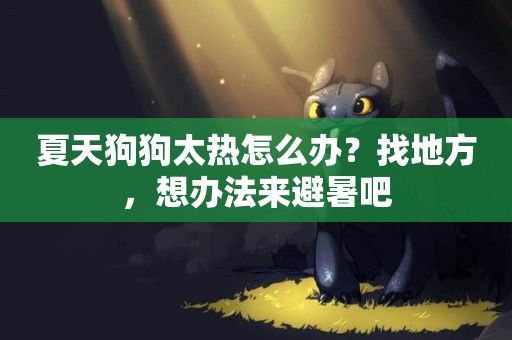 夏天狗狗太熱怎么辦？找地方，想辦法來避暑吧
