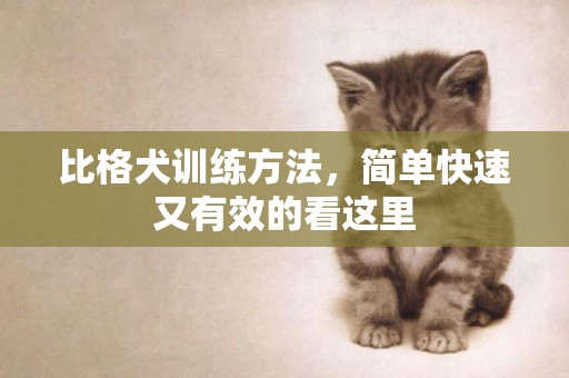 比格犬訓練方法，簡單快速又有效的看這里