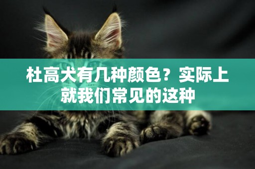 杜高犬有幾種顏色？實際上就我們常見的這種