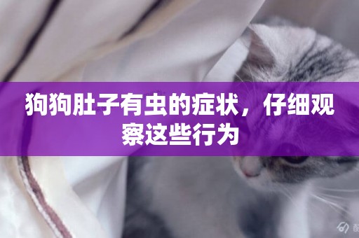 狗狗肚子有蟲的癥狀，仔細觀察這些行為
