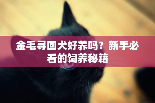 金毛尋回犬好養嗎？新手必看的飼養秘籍