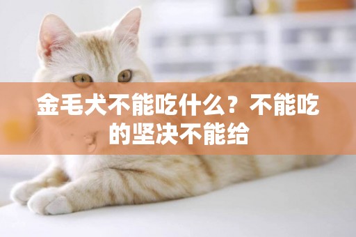 金毛犬不能吃什么？不能吃的堅決不能給