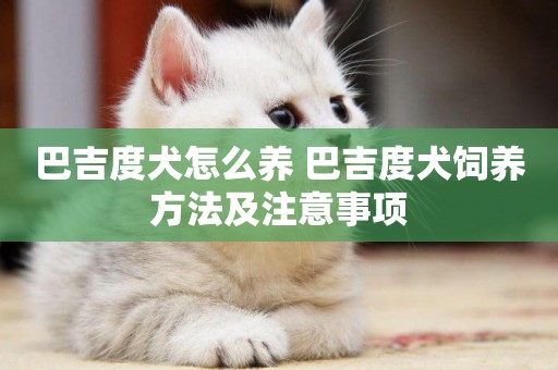 巴吉度犬怎么養 巴吉度犬飼養方法及注意事項