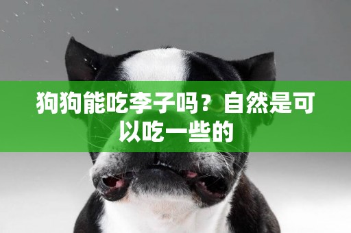 狗狗能吃李子嗎？自然是可以吃一些的
