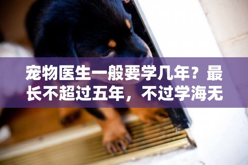 寵物醫生一般要學幾年？最長不超過五年，不過學海無涯
