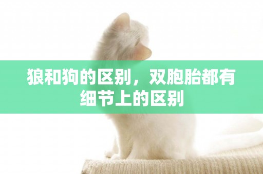 狼和狗的區別，雙胞胎都有細節上的區別