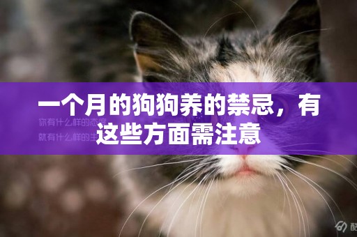 一個月的狗狗養的禁忌，有這些方面需注意