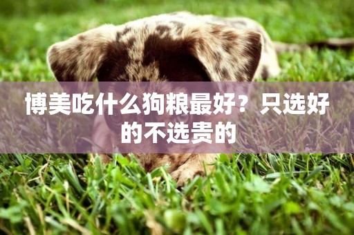 博美吃什么狗糧最好？只選好的不選貴的