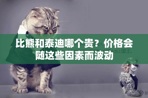 比熊和泰迪哪個貴？價格會隨這些因素而波動