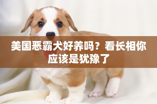 美國惡霸犬好養嗎？看長相你應該是猶豫了