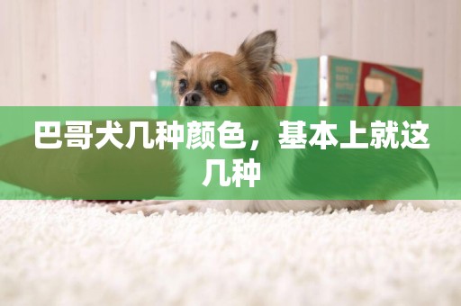巴哥犬幾種顏色，基本上就這幾種
