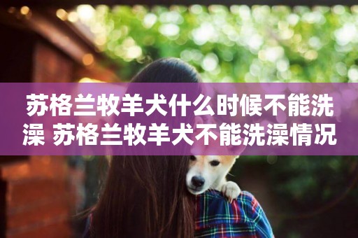 蘇格蘭牧羊犬什么時候不能洗澡 蘇格蘭牧羊犬不能洗澡情況