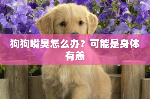 狗狗嘴臭怎么辦？可能是身體有恙