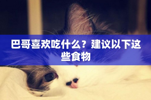 巴哥喜歡吃什么？建議以下這些食物