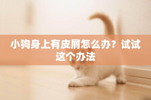 小狗身上有皮屑怎么辦？試試這個辦法