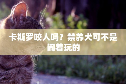 卡斯羅咬人嗎？禁養犬可不是鬧著玩的