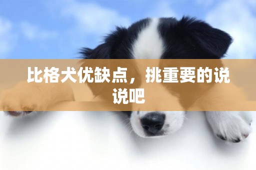 比格犬優缺點，挑重要的說說吧