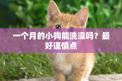 一個月的小狗能洗澡嗎？最好謹慎點