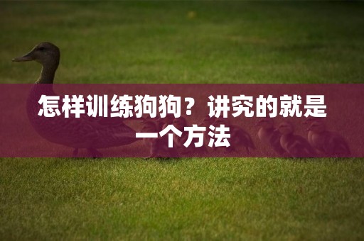 怎樣訓練狗狗？講究的就是一個方法