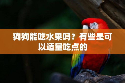 狗狗能吃水果嗎？有些是可以適量吃點的