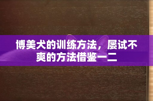 博美犬的訓練方法，屢試不爽的方法借鑒一二