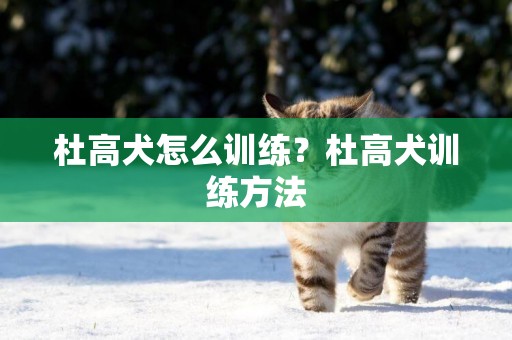 杜高犬怎么訓練？杜高犬訓練方法