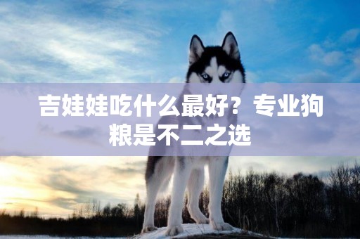 吉娃娃吃什么最好？專業狗糧是不二之選