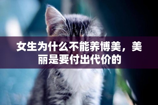 女生為什么不能養博美，美麗是要付出代價的