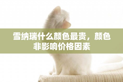 雪納瑞什么顏色最貴，顏色非影響價格因素