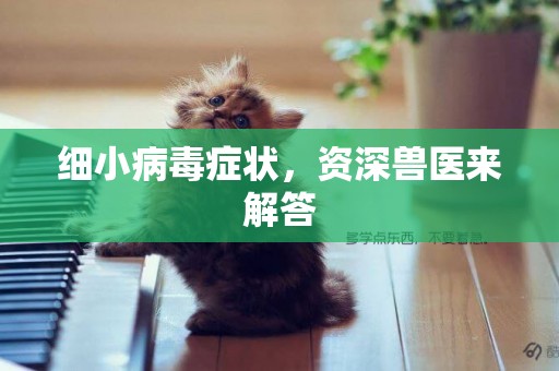 細小病毒癥狀，資深獸醫來解答