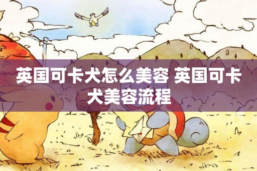 英國可卡犬怎么美容 英國可卡犬美容流程