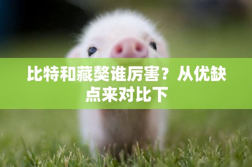 比特和藏獒誰厲害？從優缺點來對比下