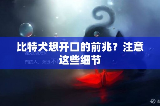 比特犬想開口的前兆？注意這些細節