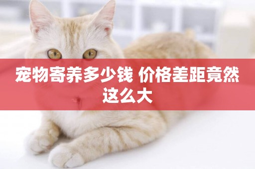 寵物寄養多少錢 價格差距竟然這么大