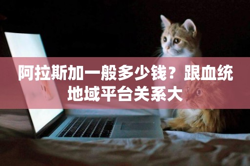 阿拉斯加一般多少錢？跟血統地域平臺關系大