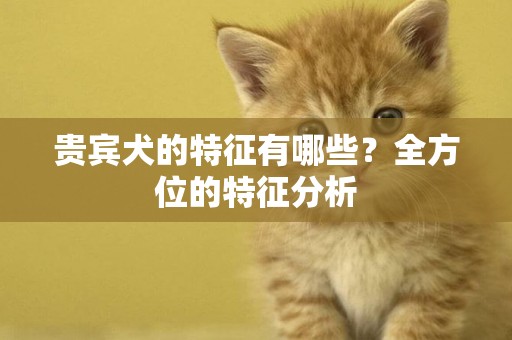 貴賓犬的特征有哪些？全方位的特征分析