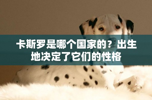 卡斯羅是哪個國家的？出生地決定了它們的性格