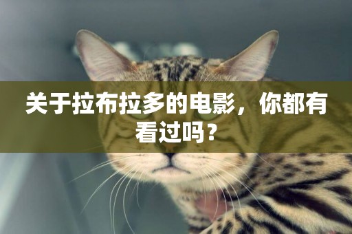 關于拉布拉多的電影，你都有看過嗎？